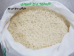 تاریخچه برنج شیرودی