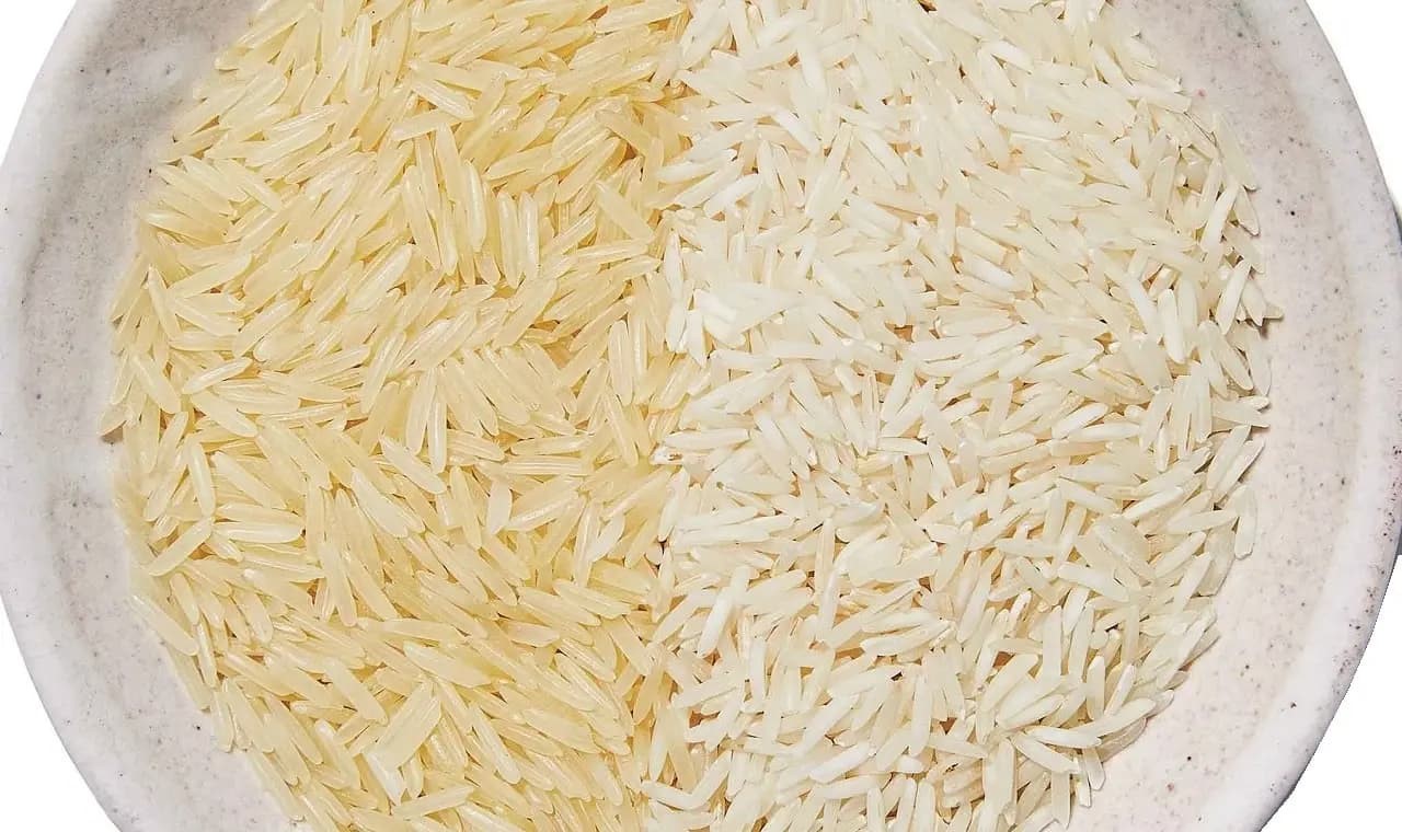 برنج شیرودی چیست؟
