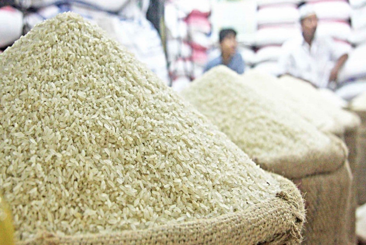 برنج فریدونکنار چیست؟