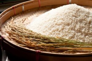 چرا برنج مازندران بهترین برنج است؟